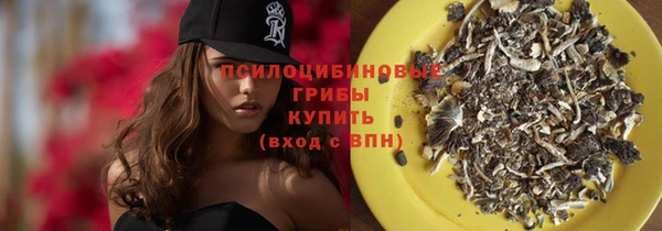 герыч Новозыбков