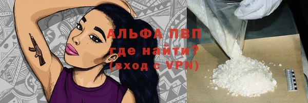 крисы Новодвинск