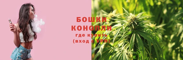 крисы Новодвинск