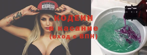 крисы Новодвинск