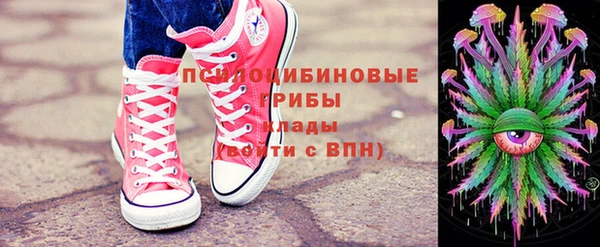 крисы Новодвинск
