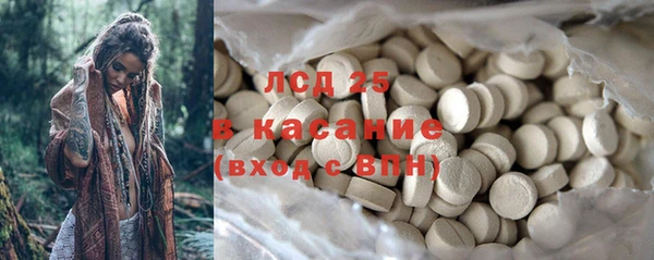 крисы Новодвинск