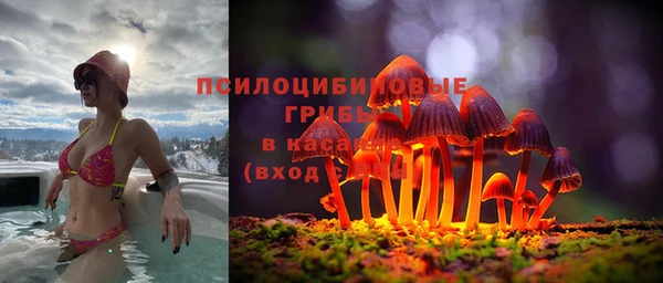 крисы Новодвинск