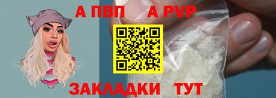 амф Кингисепп