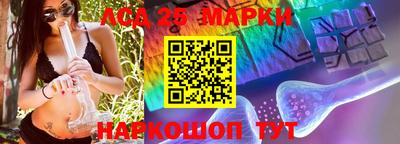 прущие крисы Кимры