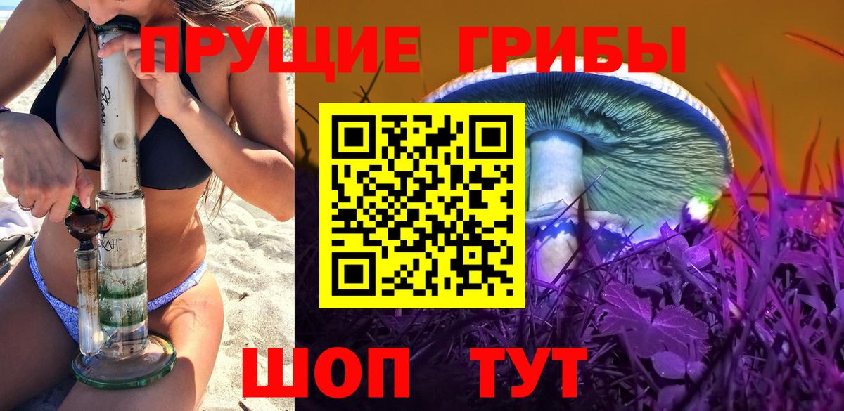 Москва  закладка  Вход с VPN  Псилоцибиновые грибы GOLDEN TEACHER  Галлюциногенные грибы Cubensis 