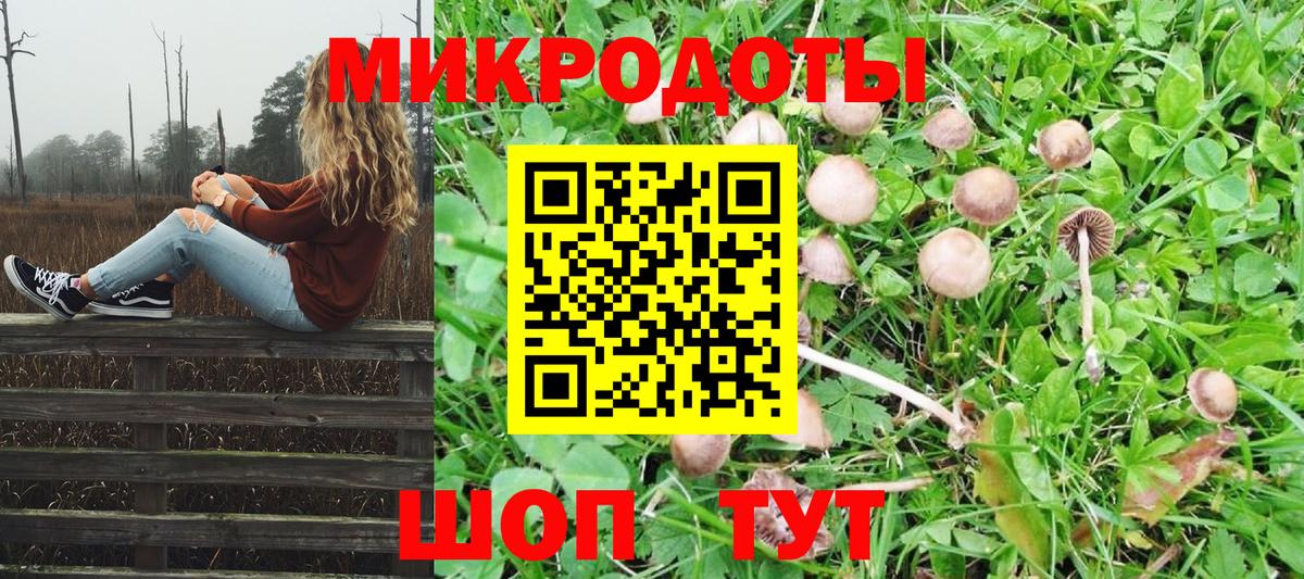 Галлюциногенные грибы Magic Shrooms Москва